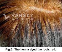 240222135823_Hair-Dying with henna-s.jpg